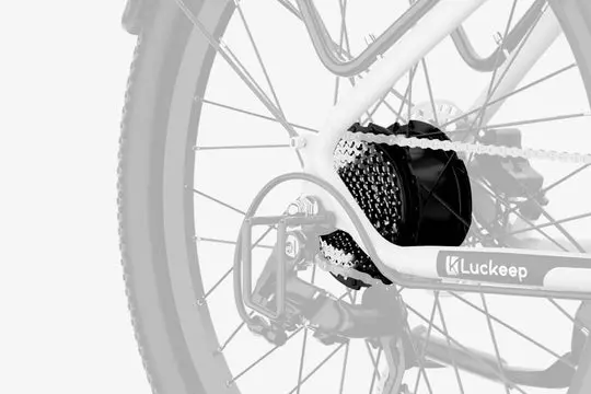 Torque Sensor & Motor Power