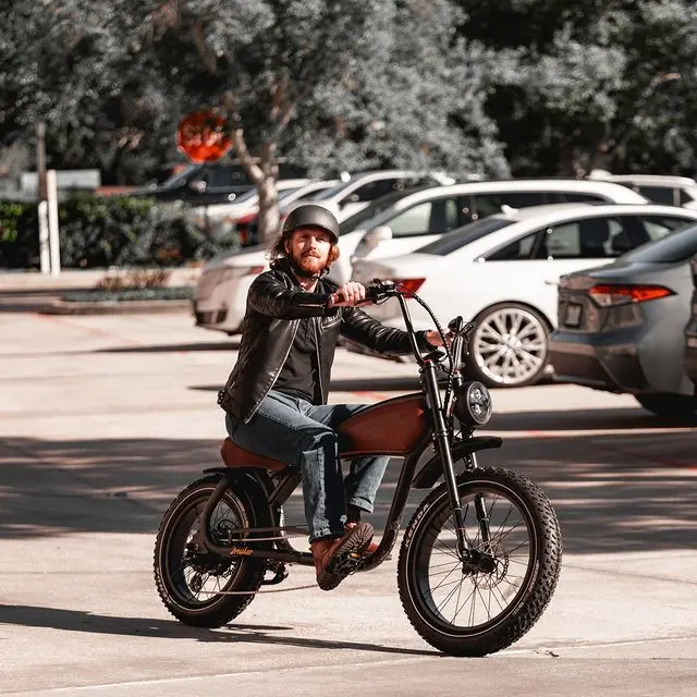 Revibikes  Overview