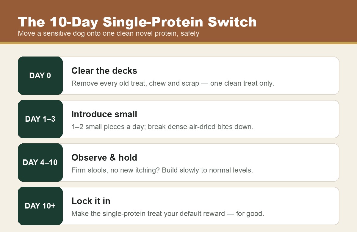 10-day single-protein dog treat switch plan
