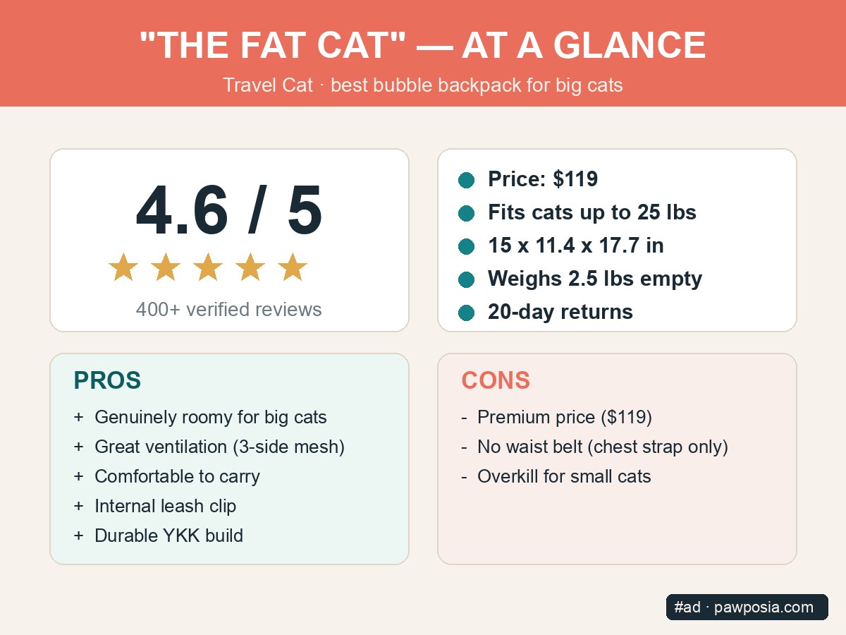 Travel Cat The Fat Cat backpack at a glance