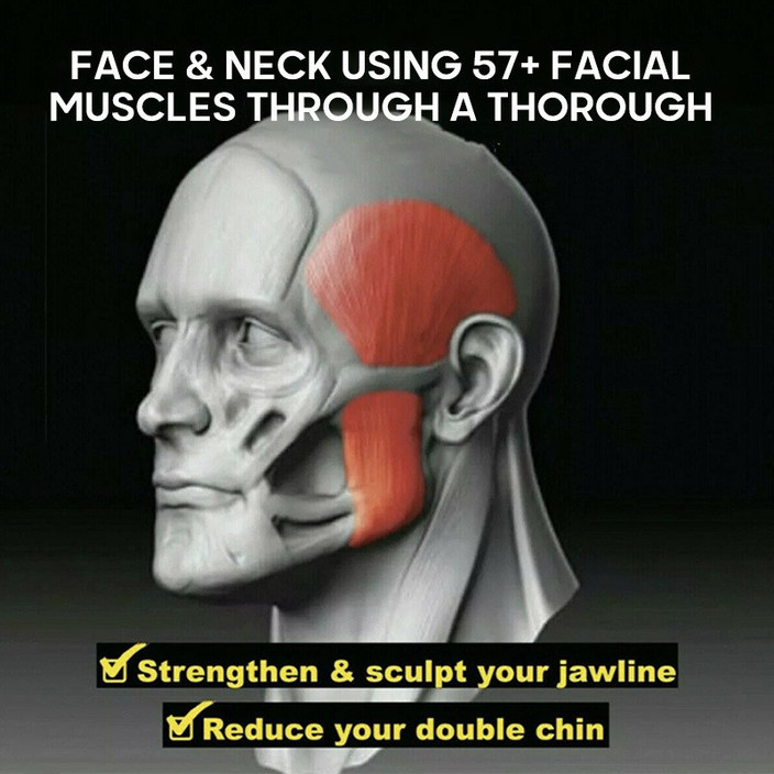 The Science Behind Facial Muscles and Jawline Training