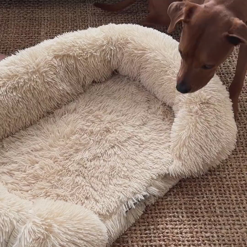 Pelsbarn orthopedic dog bed natural fill