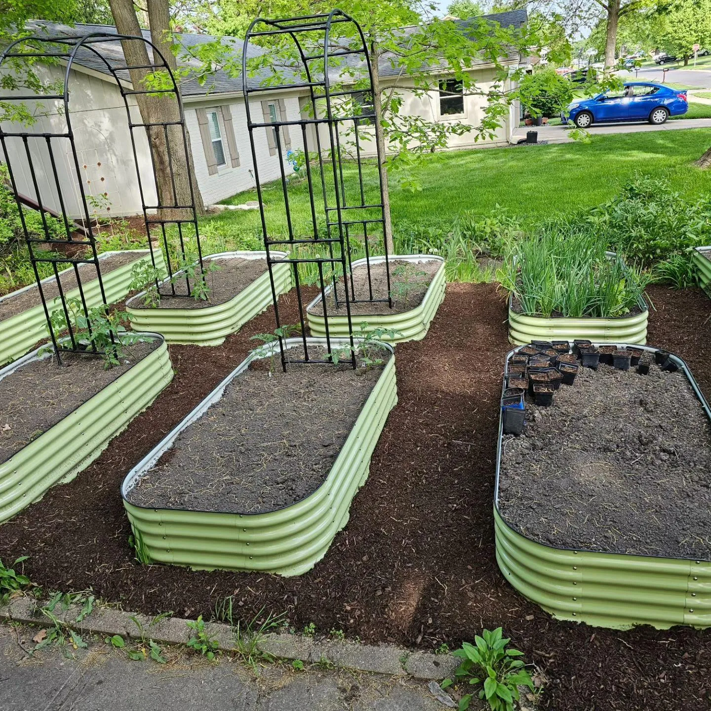 Ollegardens review photo of the sage green 12-in-1 metal raised garden bed