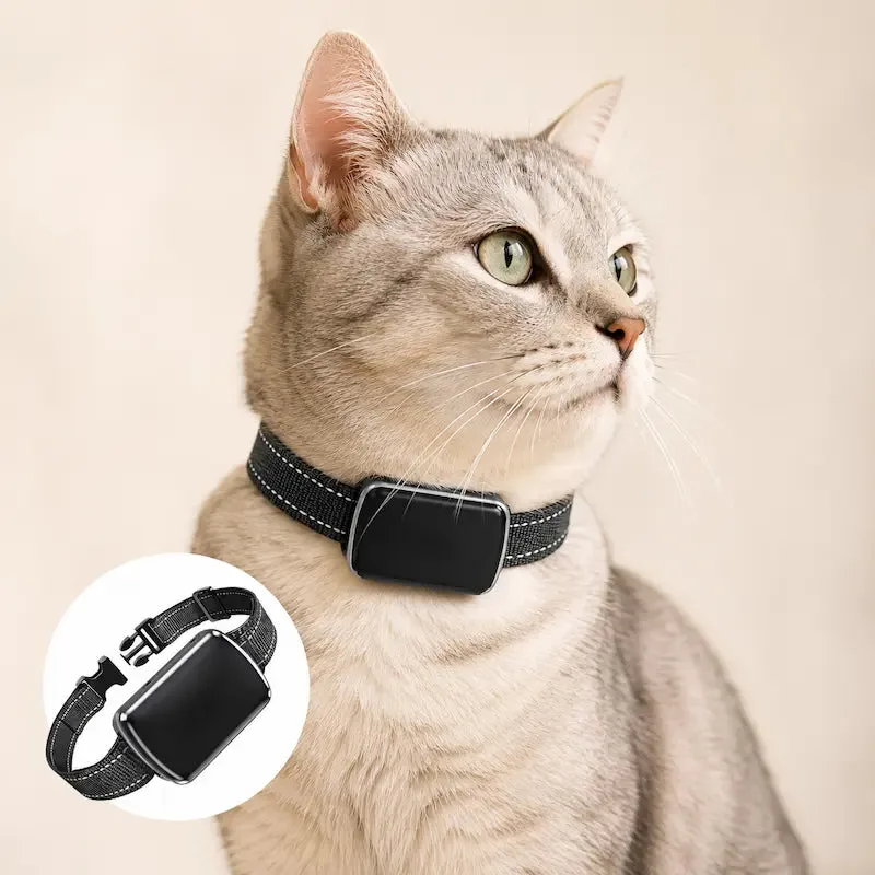 GPS tracker collar for outdoor cat safety, Griffe d'Amour outings category