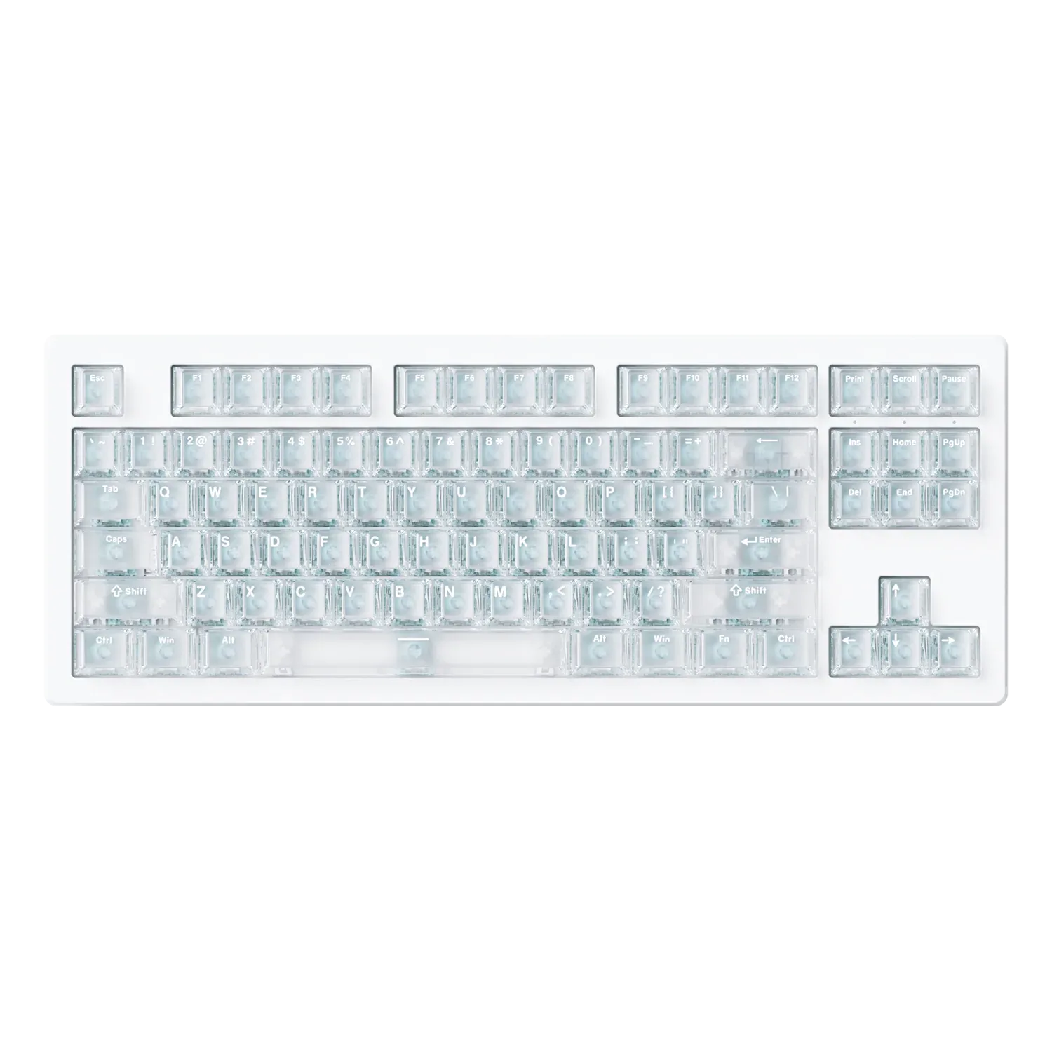 BeaverKeys review hero shot of switches and keycaps on display in the Ottawa store