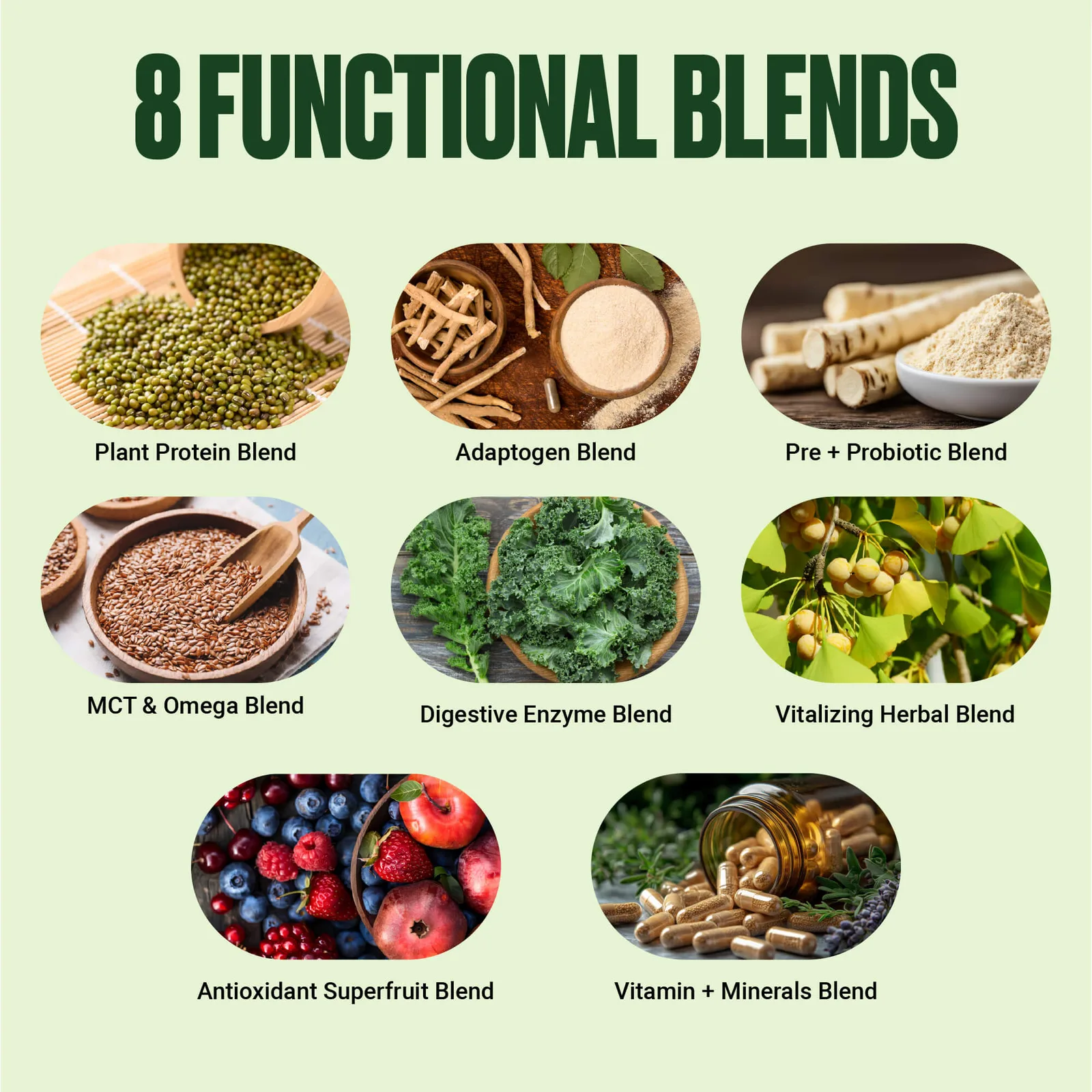 VitaHustle brand graphic listing the eight functional blends in ONE Superfood Protein